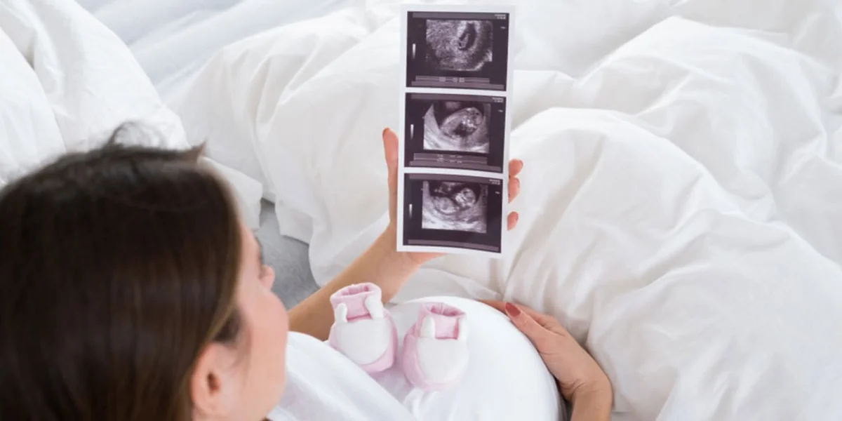 Milli Majlis to discuss draft law on reproductive health during spring session