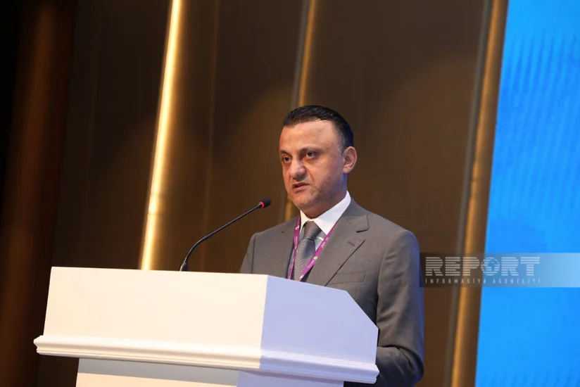 TƏBİB: Планируется создание мониторинговой комиссии для оценки деятельности врачей