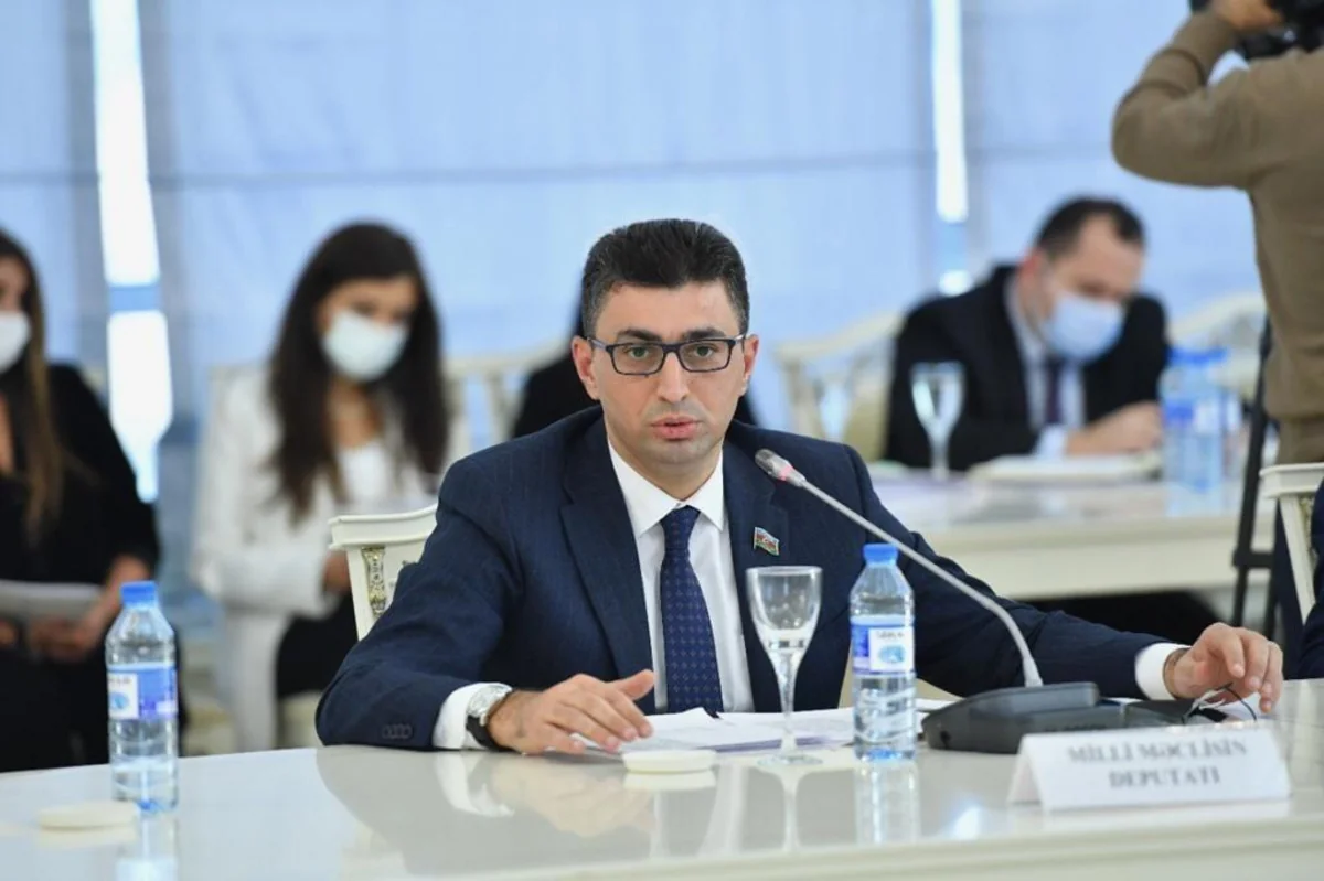 Şahin Seyidzadənin deputat mandatından imtina etməsi ilə bağlı ərizəsi MSK-ya göndərilib