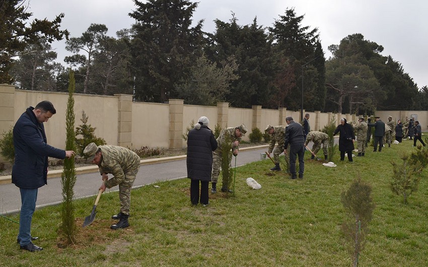 Another tree planting campaign held within framework of Year of Heydar Aliyev