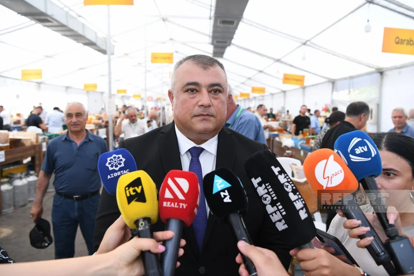Bakıdakı bal yarmarkasına 120 tona yaxın məhsul çıxarılıb