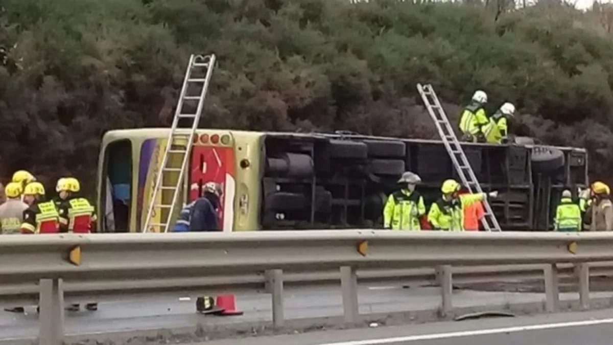 Four dead as bus overturns in Chile