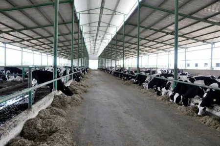 Yerlərdə profilaktik peyvəndləmə prosesinə nəzarət edilib, sahibkarlarla görüşlər keçirilib