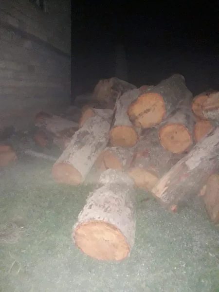 Lənkəranda qanunsuz yolla əldə olunmuş meşə materialı aşkarlanıb