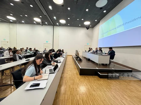 COP29 prezidenti kiçik ada dövlətləri üzrə Danışıqlar Qrupunun nümayəndələri ilə görüşüb