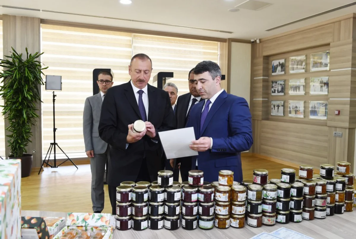 President Ilham Aliyev inaugurates ABAD Center in Balakan
