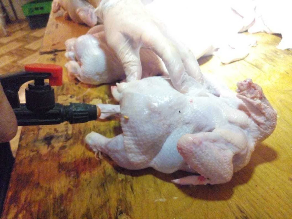 Siyəzəndə süni şəkildə toyuqların çəkisini artıran sex bağlandı