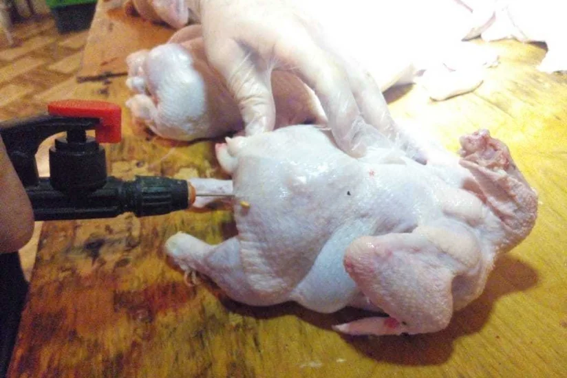 Siyəzəndə süni şəkildə toyuqların çəkisini artıran sex bağlandı