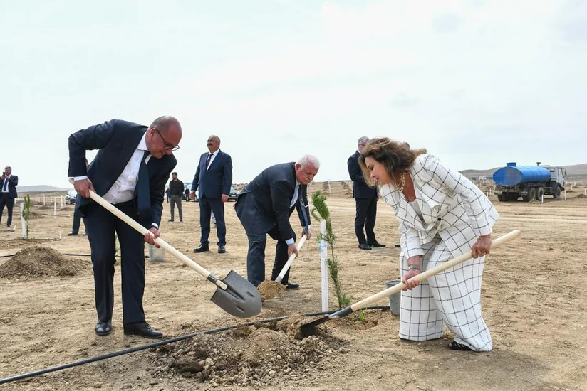 ANAMA Heydər Əliyevin 100 illik yubileyi ilə əlaqədar ağacəkmə aksiyası keçirib