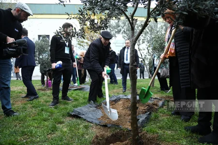 International conference participants in Baku plant trees in Zira Ecopark