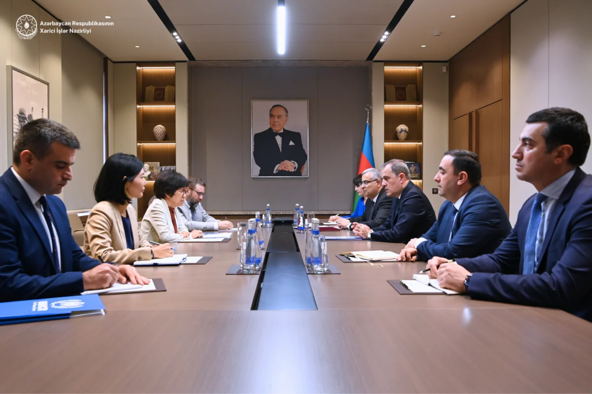 Azerbaijani foreign minister meets with UNHCR representative