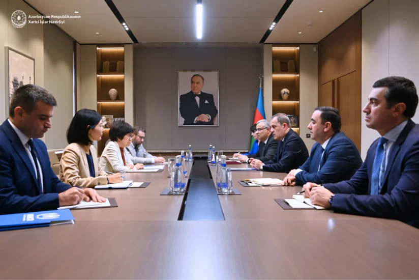 Azerbaijani foreign minister meets with UNHCR representative