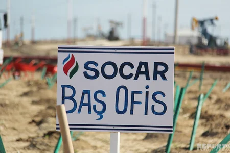 SOCAR növbəti genişmiqyaslı ağacəkmə kampaniyasına start verib - FOTOREPORTAJ