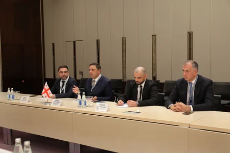 Azerbaijan, Georgia discuss energy cooperation