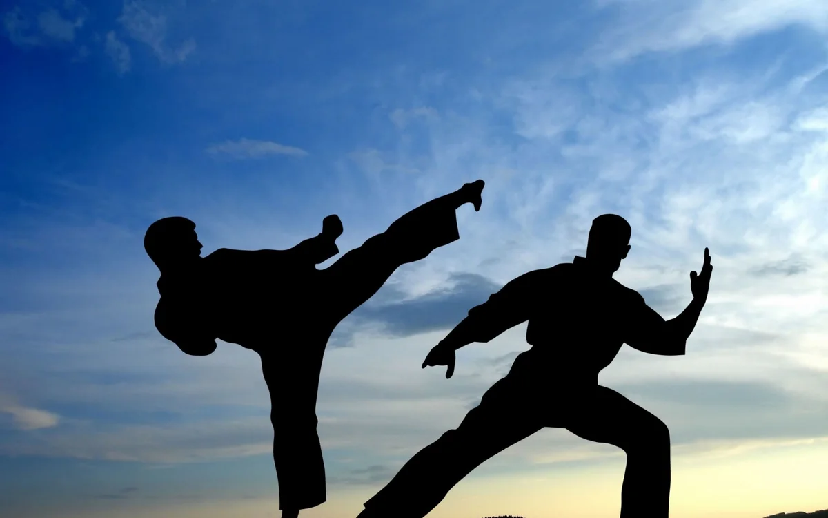 ​Пять новых видов спорта включили в программу ОИ-2020