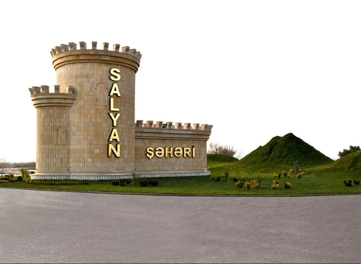 Salyanda Gənclərin İnkişaf və Karyera Mərkəzinə təyinat olub