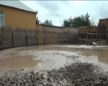Goranboyda sel fəsadlar törədib, xırdabuynuzlu heyvanlar tələf olub