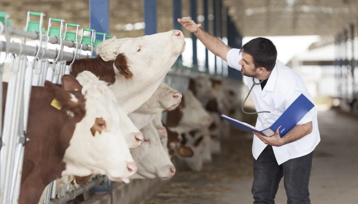 Turkish agronomists and veterinarians to work in Azerbaijan