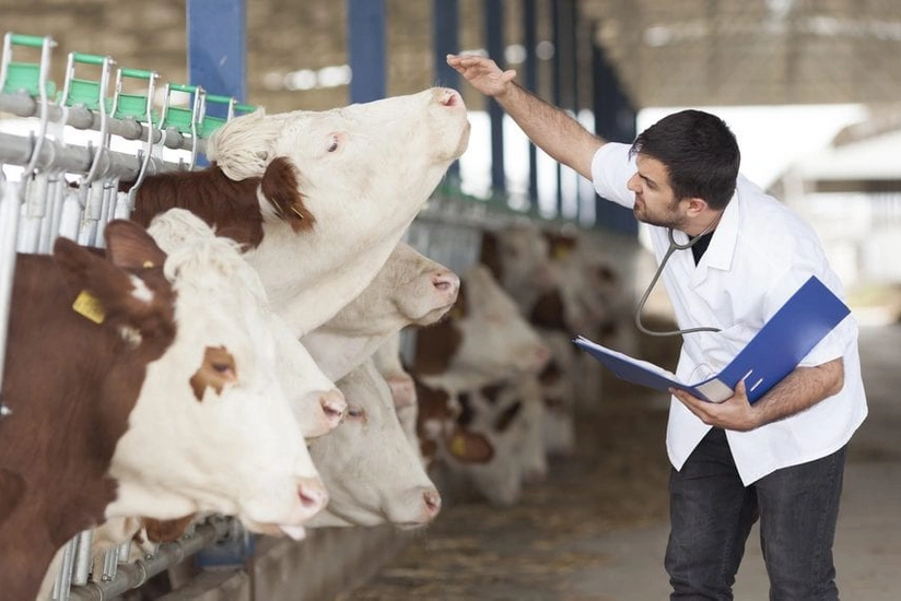 Turkish agronomists and veterinarians to work in Azerbaijan