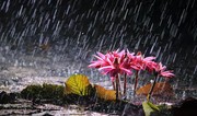 Azerbaijan weather forecast for July 7