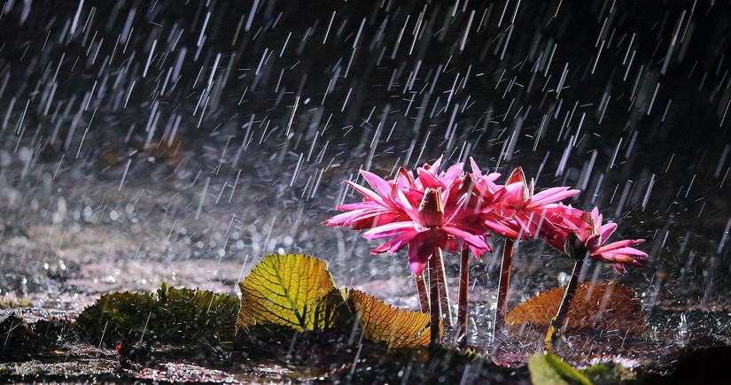 Azerbaijan weather forecast for July 7
