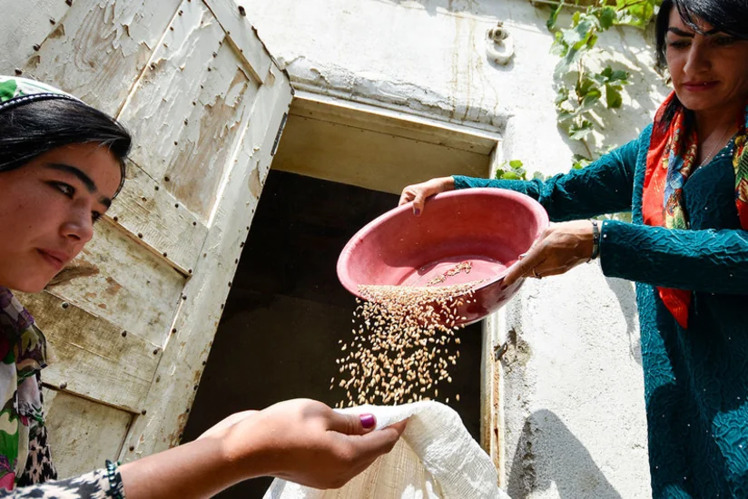 ООН: Из-за пандемии в мире растет число голодающих