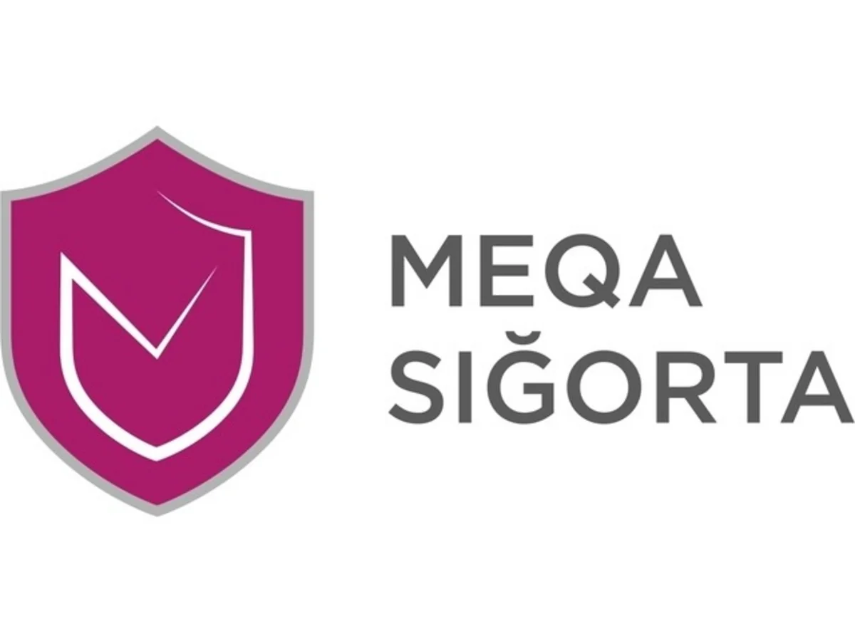 Mega Insurance gets 4% decline in net profit