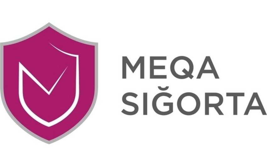 Mega Insurance gets 4% decline in net profit