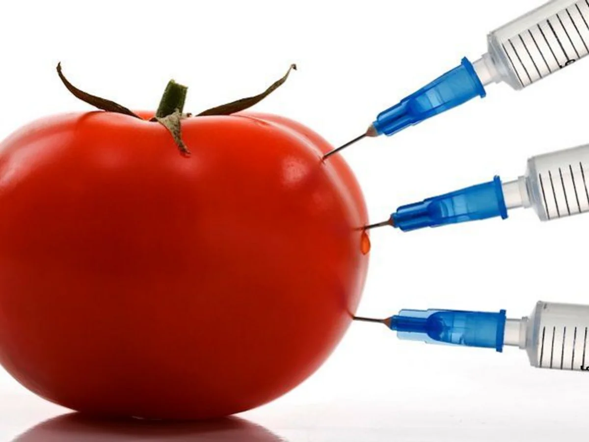 Milli Məclisin komitə sədri: Hələ də Azərbaycana GMO məhsulları gətirilir