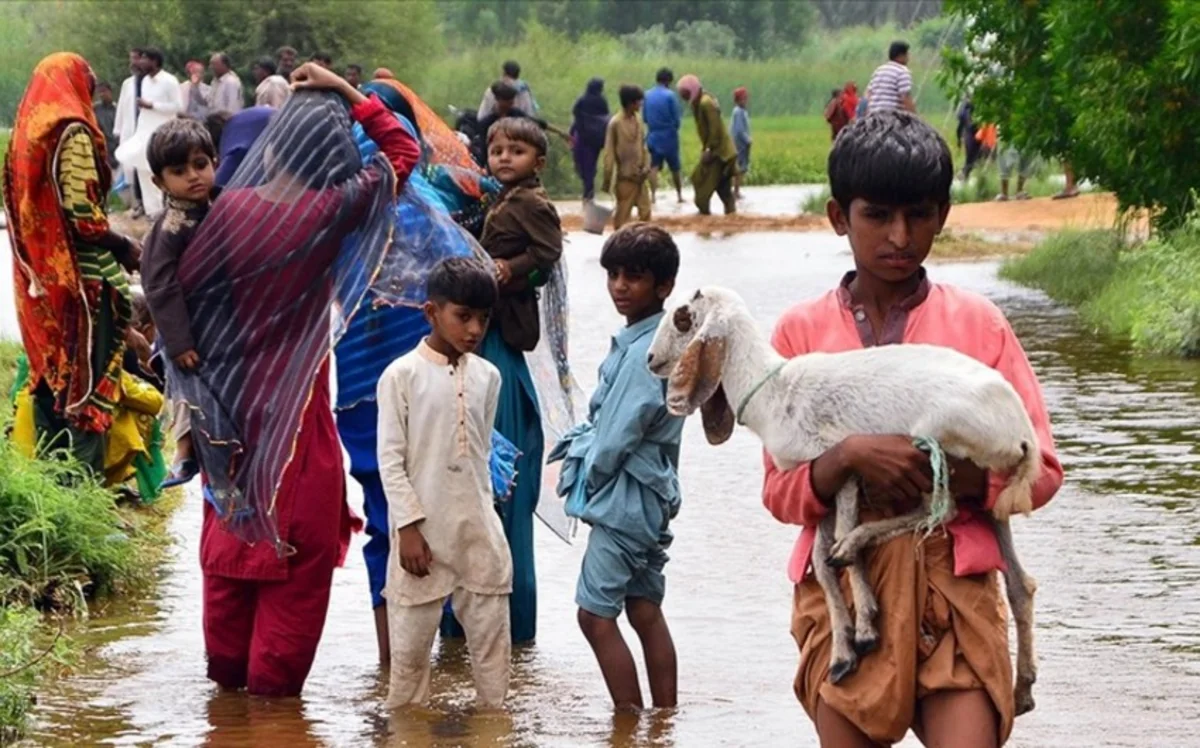 Pakistan floods: Death toll exceeds 1,200