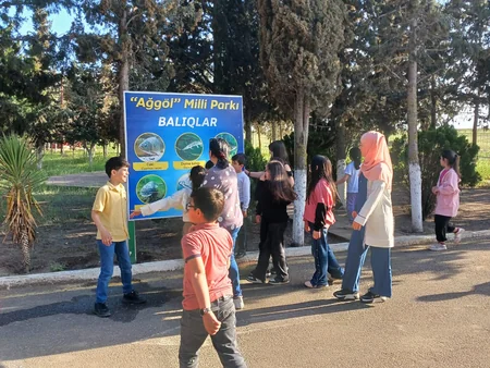Bayram günlərində milli parkları 5 mindən çox turist ziyarət edib