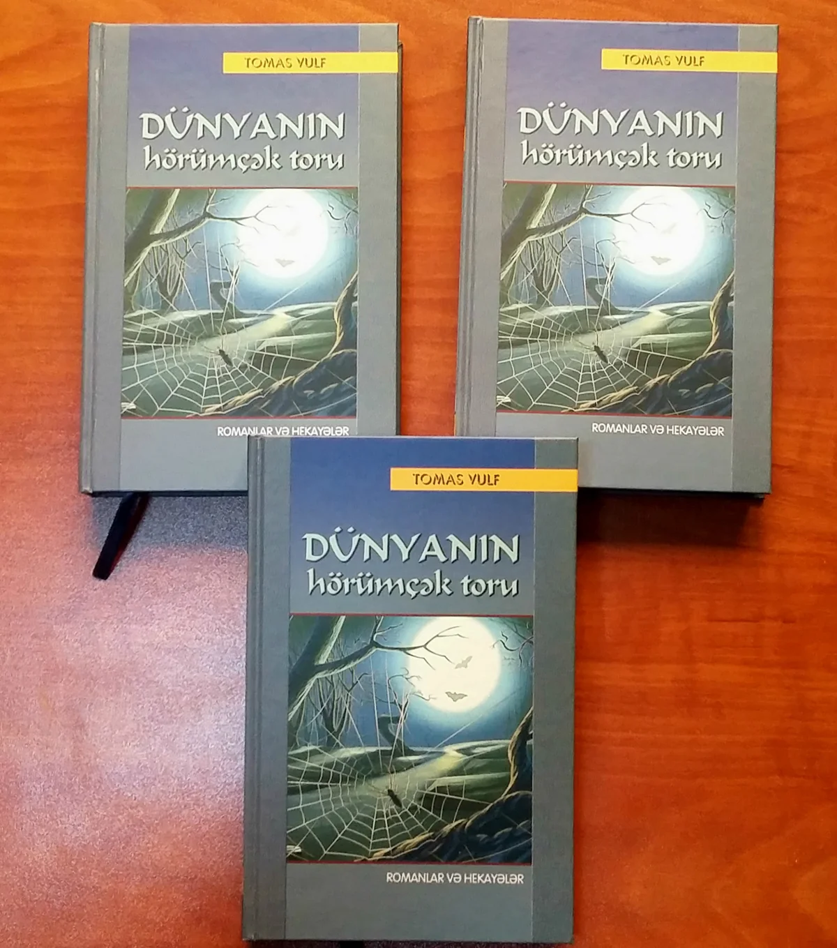 “Dünyanın hörümçək toru” kitabı Azərbaycan dilində çap edilib