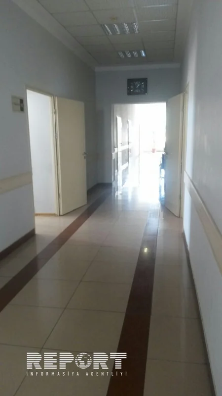 Xudatda bədbəxt hadisə: inək toy sahibinin oğlunu yerlə sürüyüb