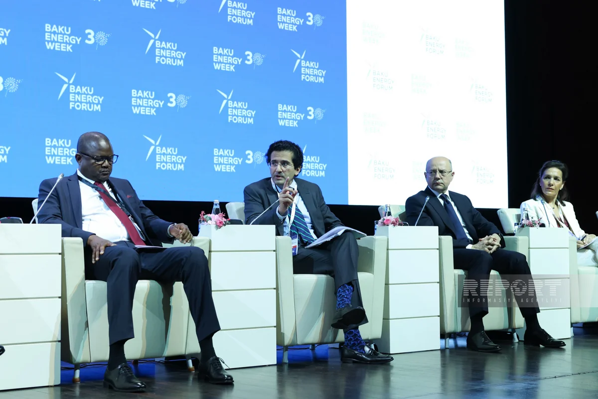 Minister: Pakistan supports transition to sustainable energy, ready to cooperate