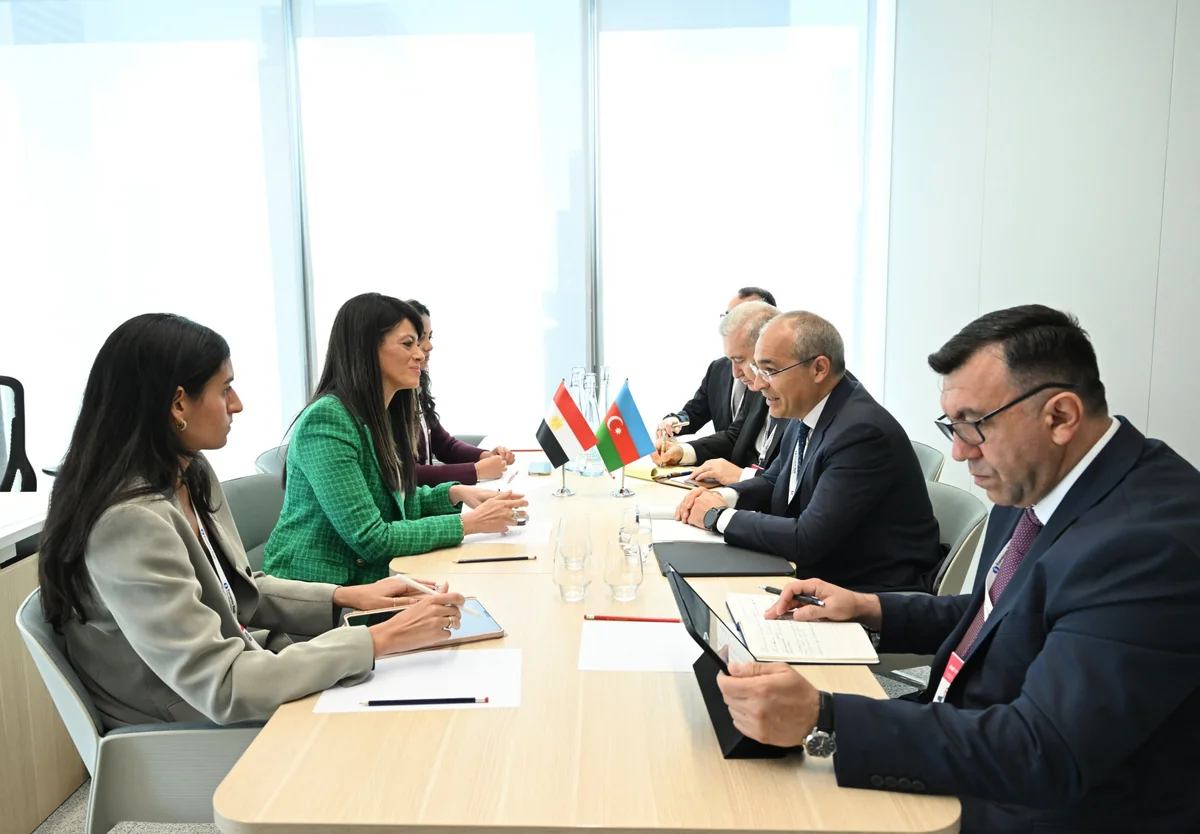 Azerbaijan and Egypt mull expanding economic cooperation