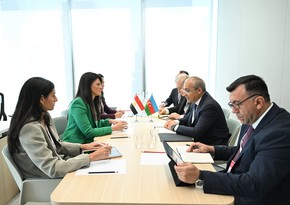 Azerbaijan and Egypt mull expanding economic cooperation