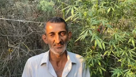Kür çayının sahilində narkotik yetişdirən üç nəfər saxlanılıb