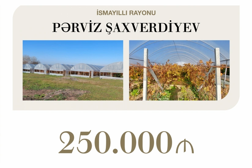 Over $147,000 in concessional loan allocated for cultivation of berries in Ismayilli