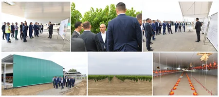 Mikayıl Cabbarov Yevlax Pilot Aqroparkındakı müəssisələrin fəaliyyəti ilə tanış olub