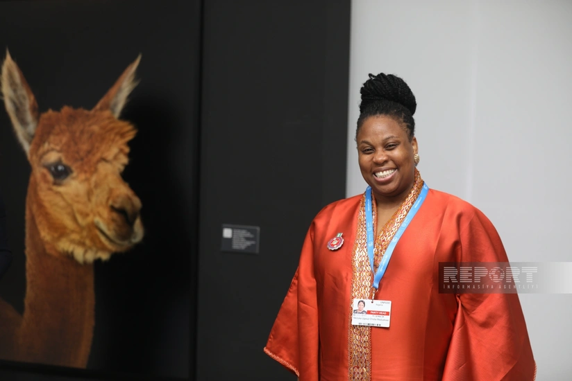 COP29-da Bred Uilsonun “Digər dünya” fotosərgisi nümayiş olunur