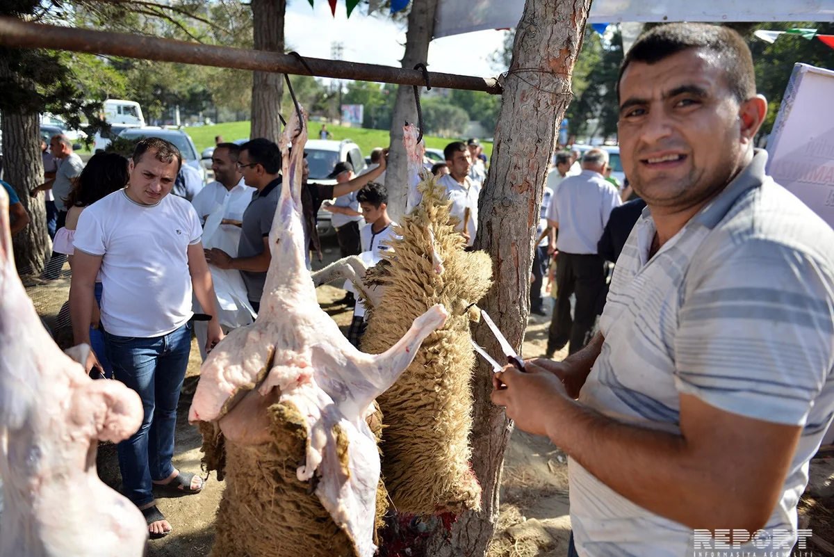 Bakıda qurbanlıq heyvanların kəsiminə 70 baytar həkimi nəzarət edir