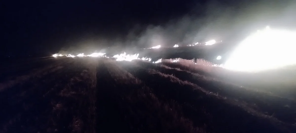 В Агдамском районе задержан поджигатель поля площадью 6 га