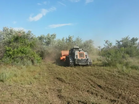 Cocuq Mərcanlıda 1063 ədəd qəlpə aşkarlanıb