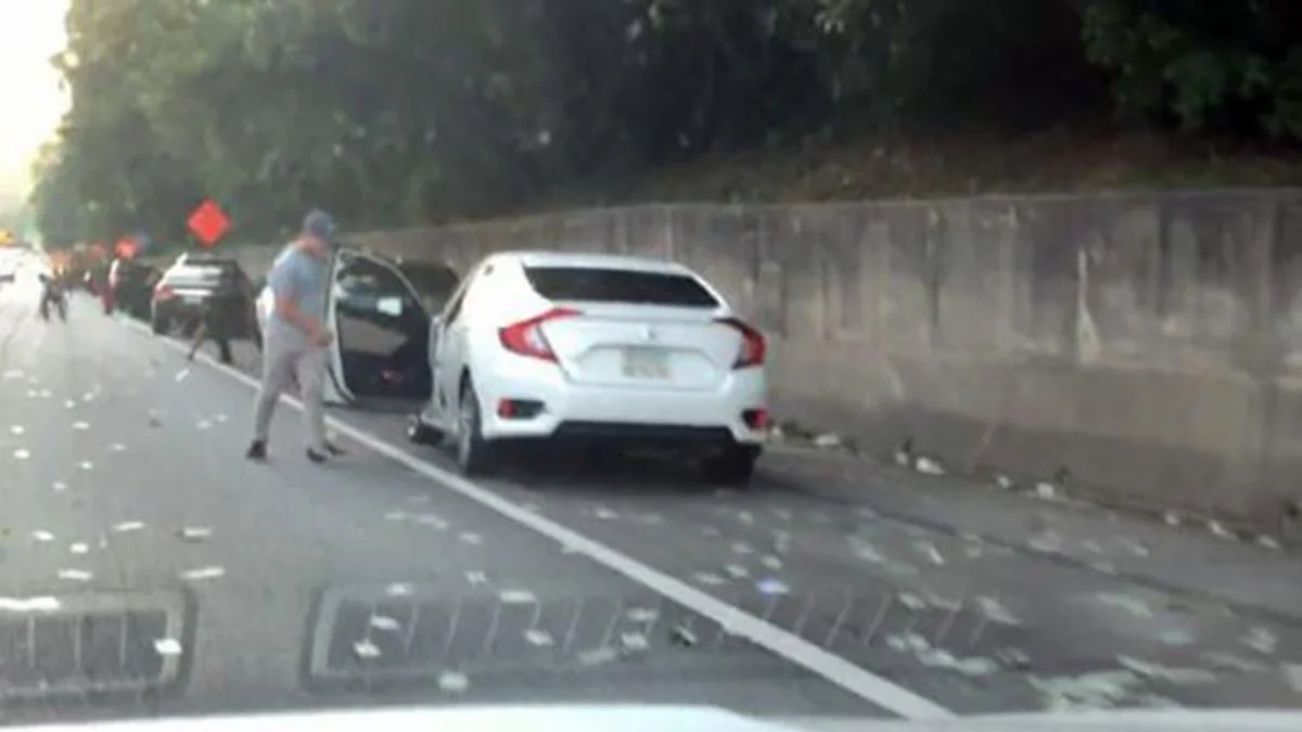 На шоссе в США прошел дождь из денег - ВИДЕО