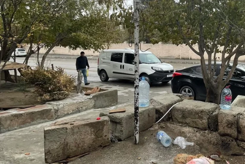Abşeronda qanunsuz heyvan kəsimi ilə bağlı reyd keçirilib