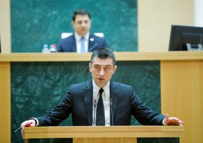 Georgian speaker: Giorgi Gakharia preferred personal interests