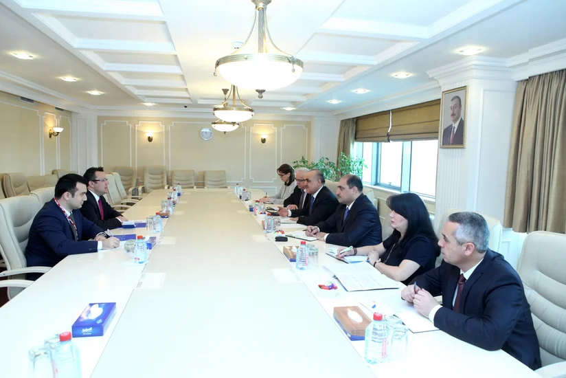 Bu il Azərbaycanda işləməsinə icazə verilən əcnəbilərin sayı açıqlanıb