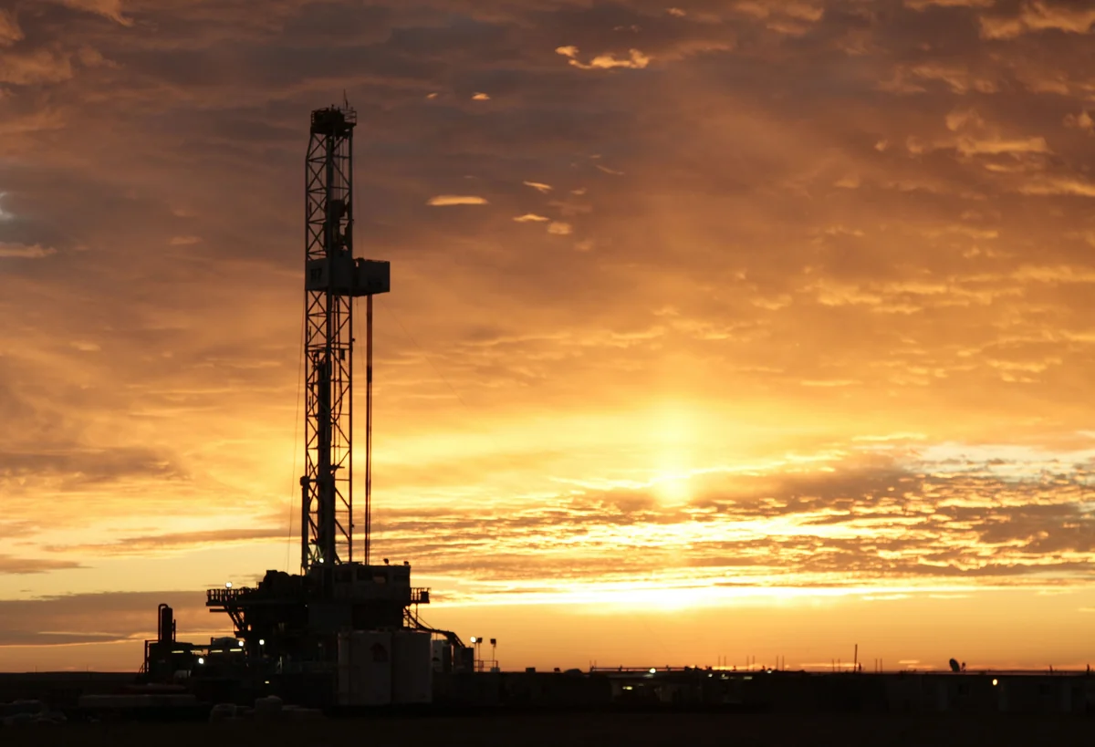 “Darvin bankası” yatağındakı özül əsaslı təmir edilib