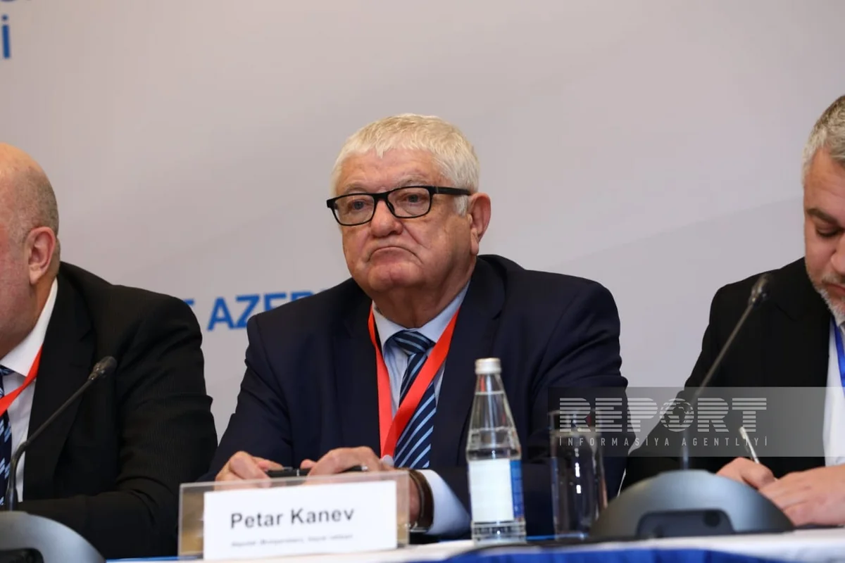 Head of PABSEC mission hails presidential elections held in Azerbaijan