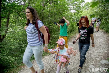 Bakıya ən yaxın böyük meşədən... - REPORTAJ